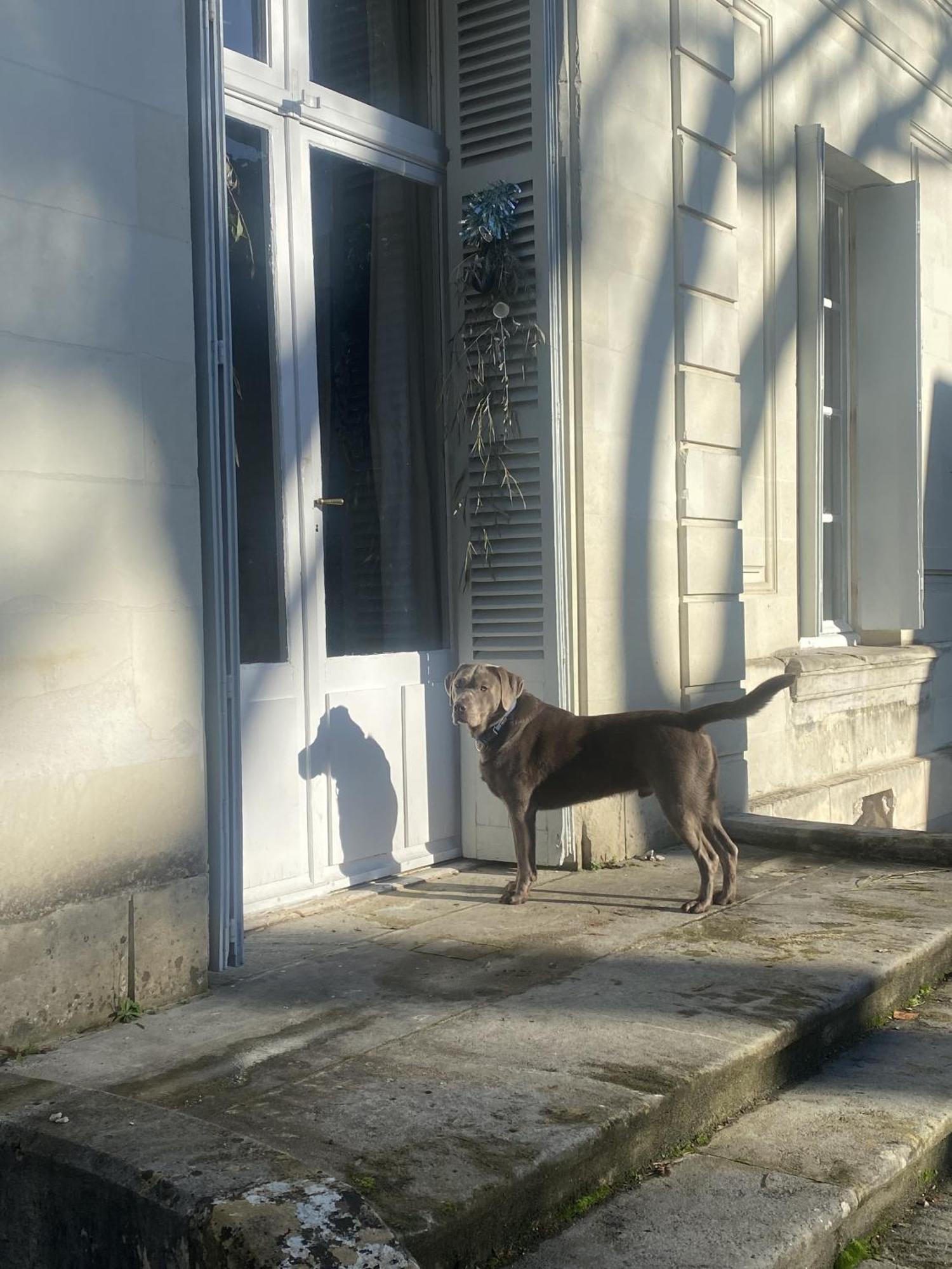 La Grande Carree Bed & Breakfast Saint-Cyr-sur-Loire Dış mekan fotoğraf
